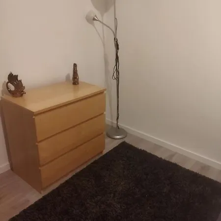 Apartament Neuf T2 Dans Schiltigheim